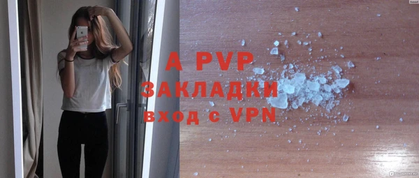 ешки Сясьстрой