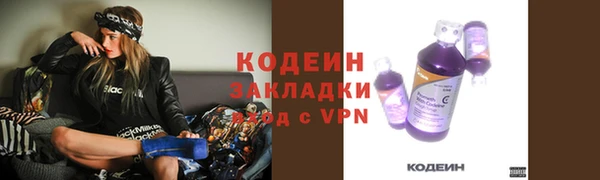 круглые Тавда