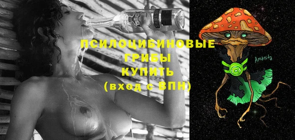 ешки Сясьстрой