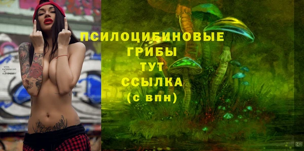 круглые Тавда