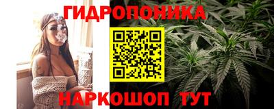 тгк Гусев