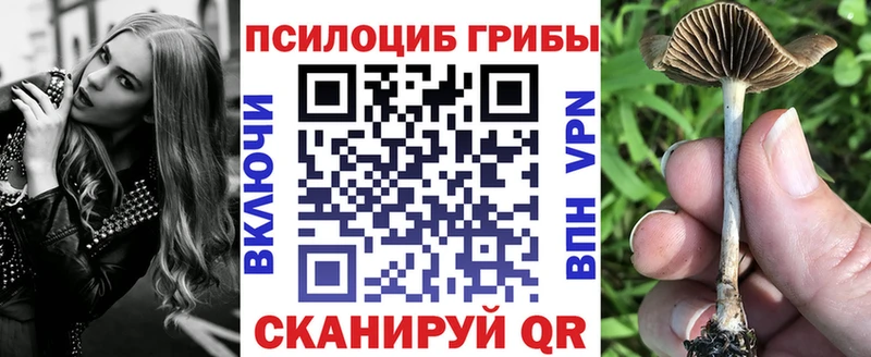 Псилоцибиновые грибы прущие грибы  Феодосия 