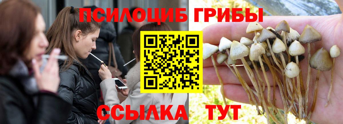 Галлюциногенные грибы мухоморы  Вход с VPN  Галлюциногенные грибы прущие грибы  Феодосия 