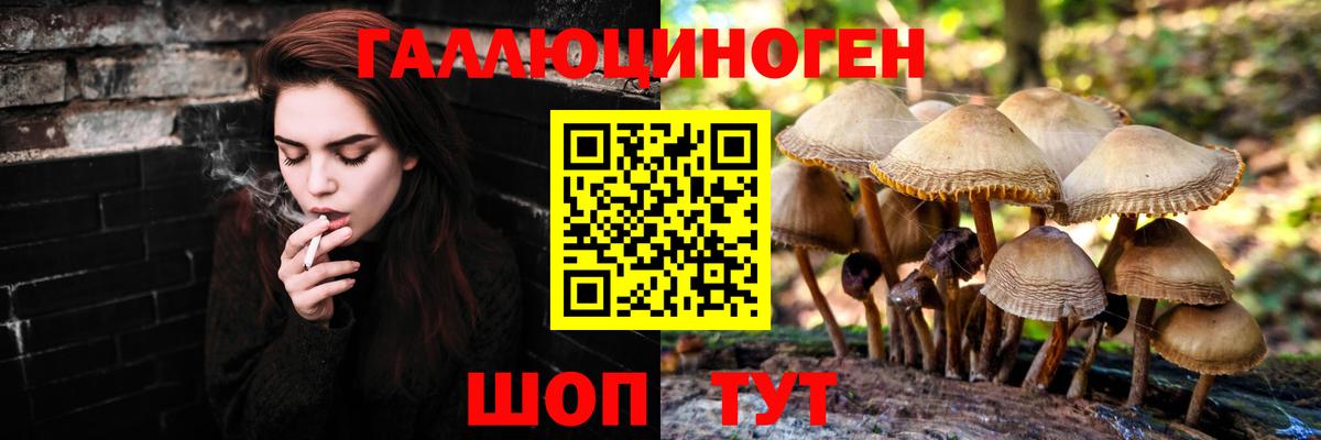 Псилоцибиновые грибы мухоморы Феодосия